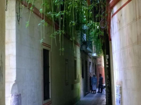 Calle verde 9